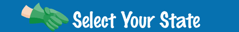 Select Your State